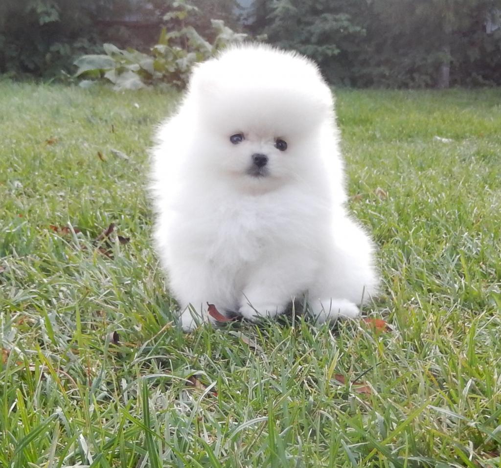 �������� �������� �� ��������� ����� � ��������� �������