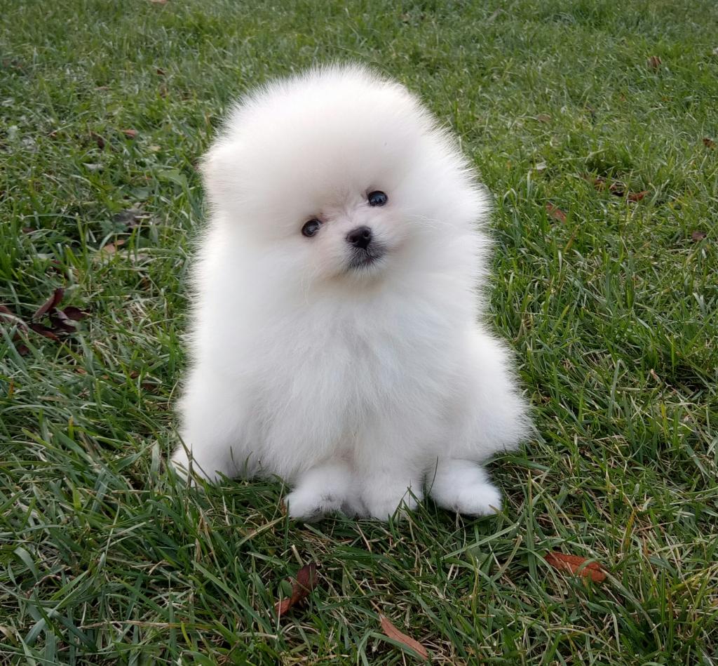 �������� �������� �� ��������� ����� � ��������� �������