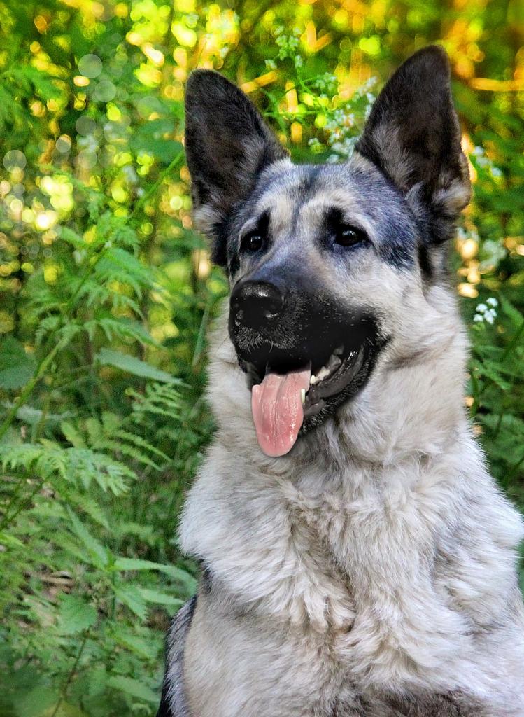 ������������������� �������. ��������