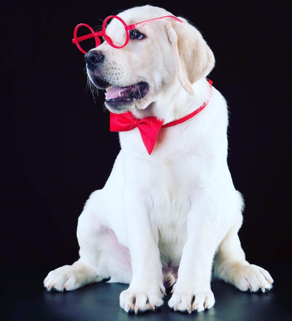 �������� ��������