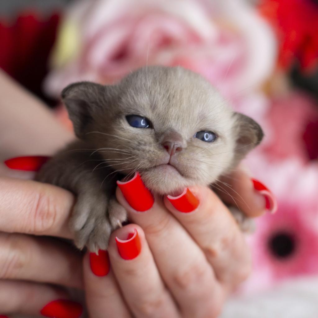 �������� �������� �� ��������� ����� Burhouse