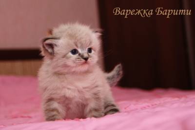 ��������� �����. ��������