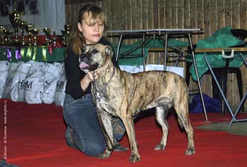 �� �� �� (���������� ������) �� ��������� ����� ����� �� ������