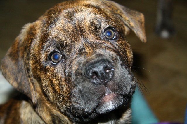 �� �� �� (���������� ������) �� ��������� ����� ����� �� ������