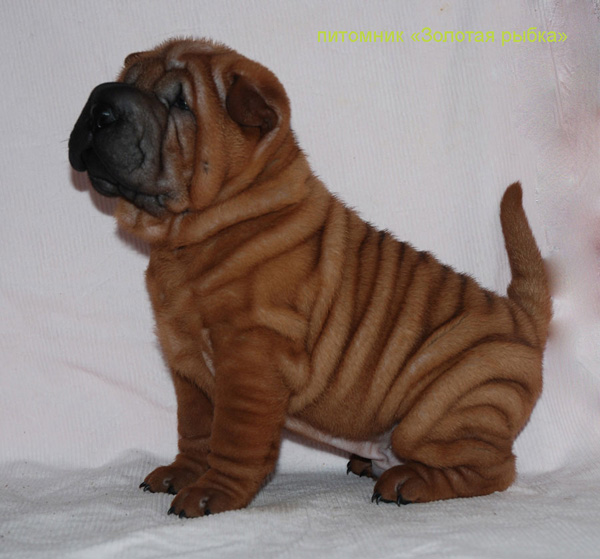 �������������