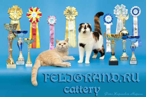 ����������� ��������������� ��������� (�������-������). ��������