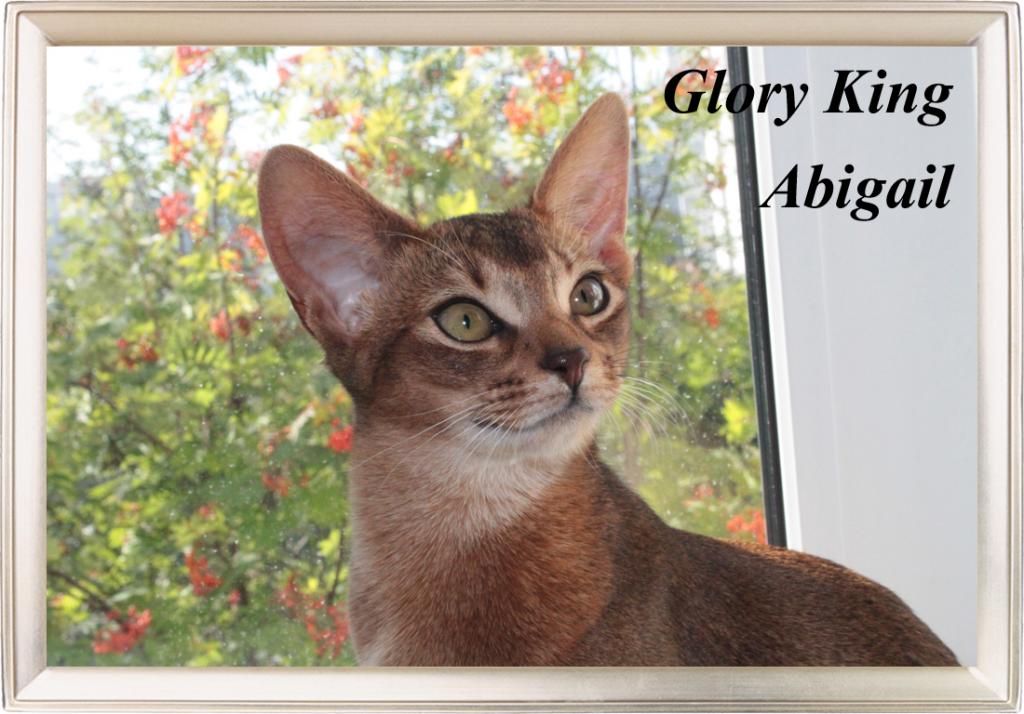 ���������� �������� �� ��������� ����� Chiangsen