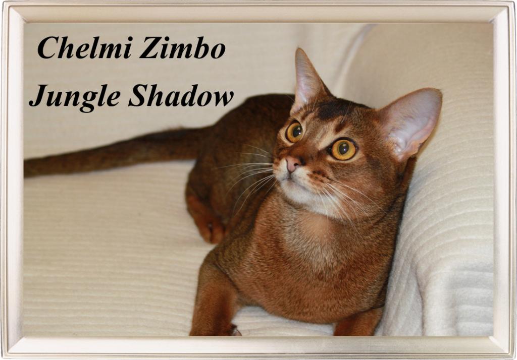 ���������� �������� �� ��������� ����� Chiangsen