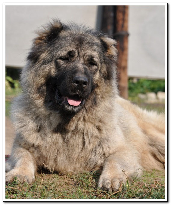 ���������� �������