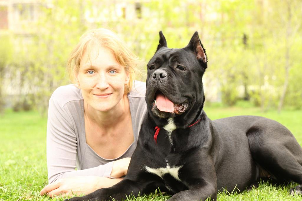 ���� �����