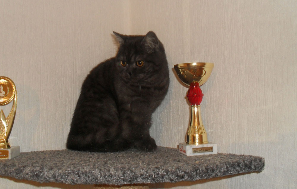 ������������� �������� �����