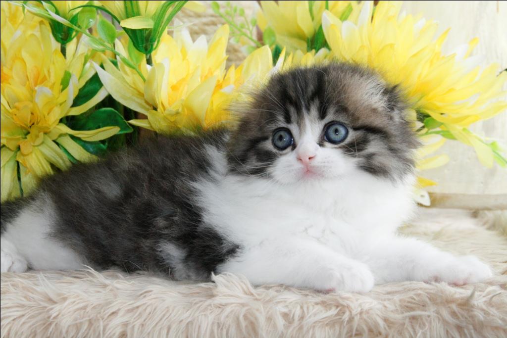 ������������� �������� �����