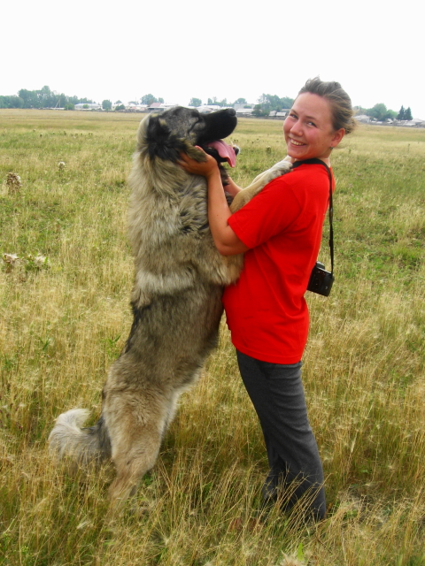 ������������� �������� �����