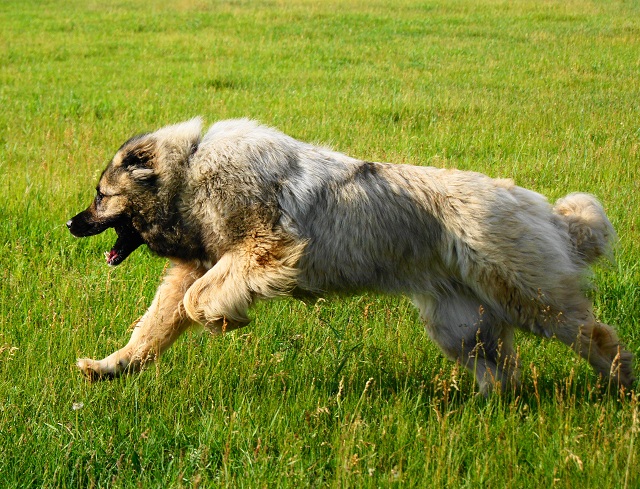 ������������� �������� �����