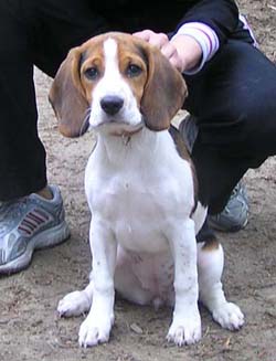 �����. ��������