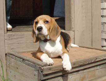 �����. ��������