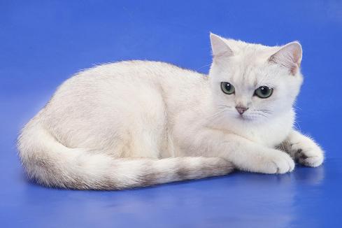 �������� �������� �� ��������� ����� ����