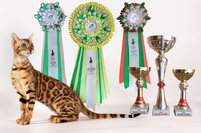 ������������� �������� �����