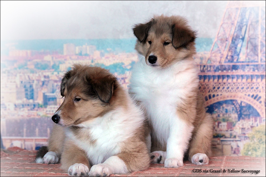 �����. ��������