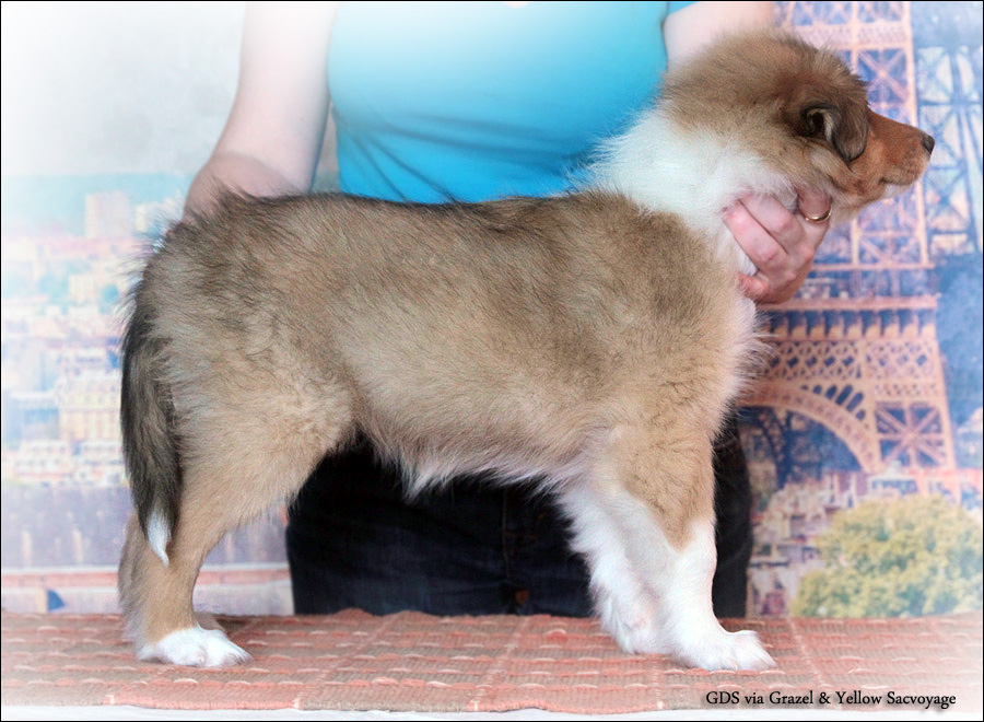 �����. ��������