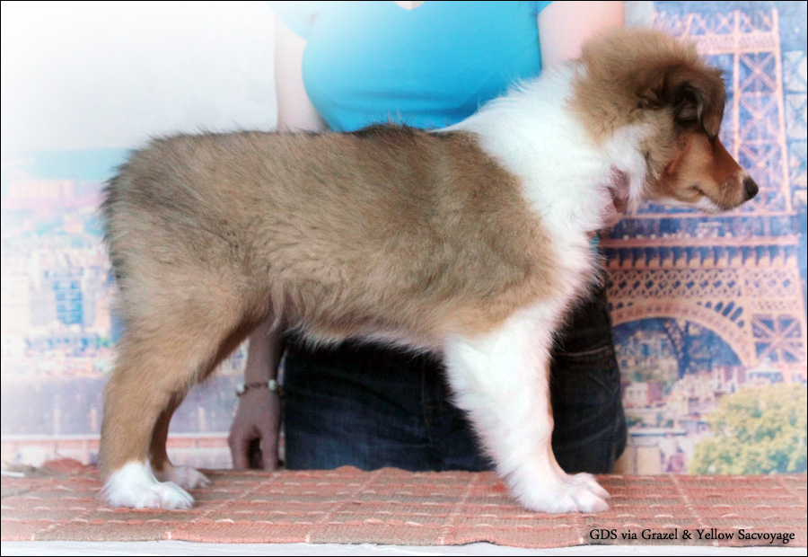 �����. ��������