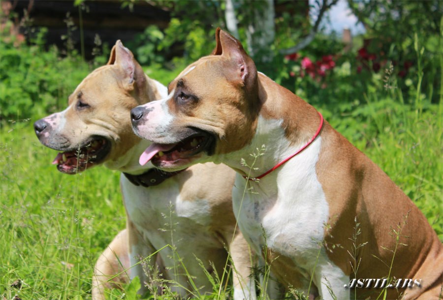 ������������ �����������c��� ������ �� ��������� ����� ��������