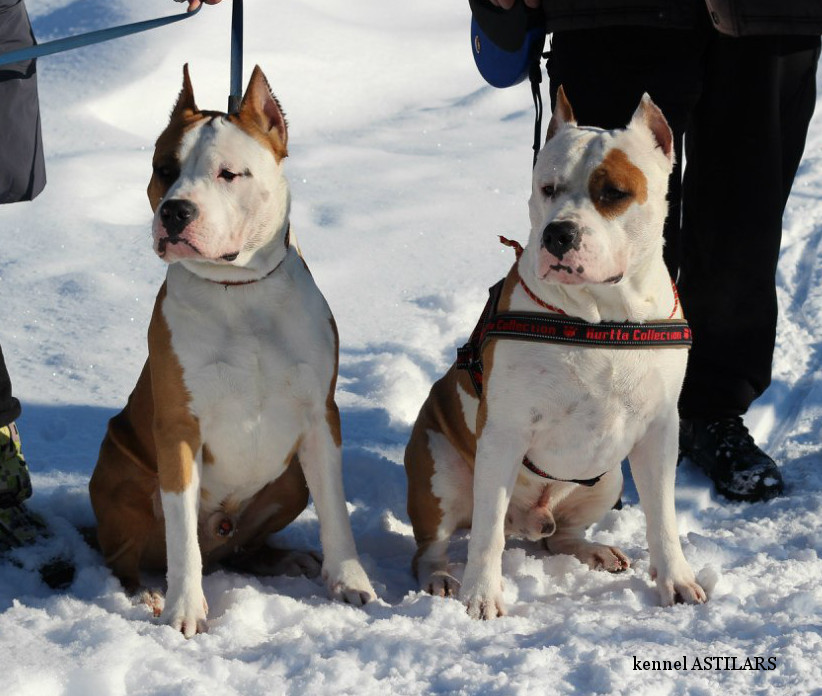 ������������ �����������c��� ������ �� ��������� ����� ��������