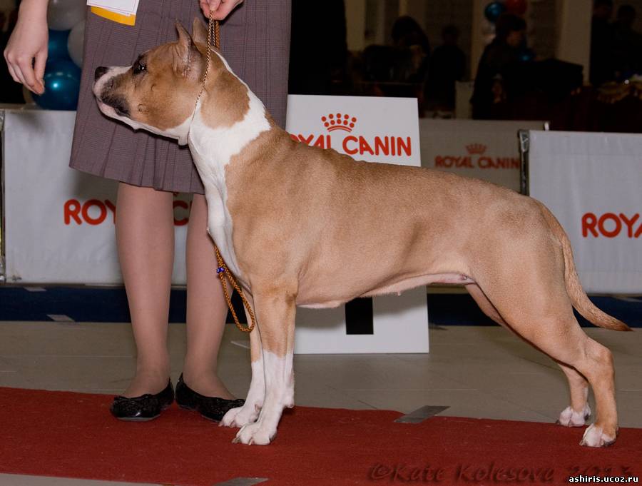 ������������ �����������c��� ������ �� ��������� ����� ��������