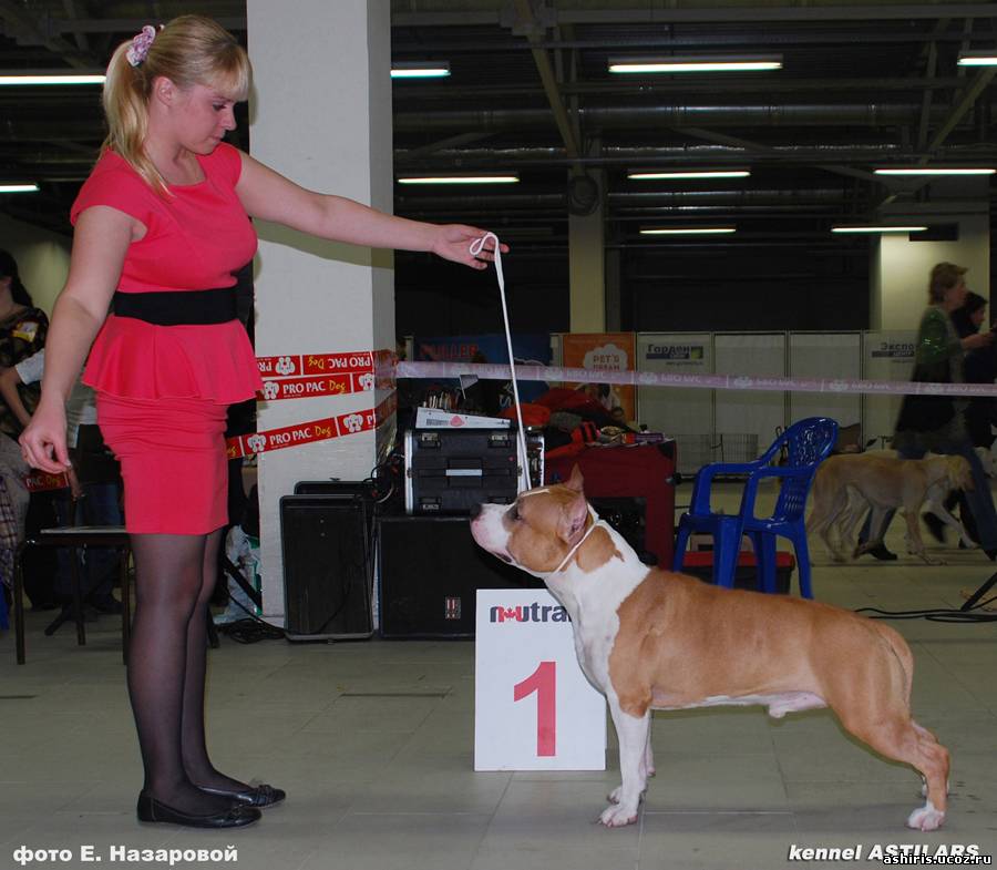 ������������ �����������c��� ������ �� ��������� ����� ��������