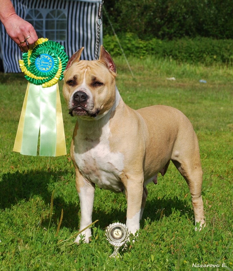 ������������ �����������c��� ������ �� ��������� ����� ��������