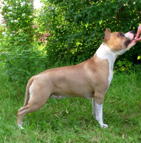 ������������ �����������c��� ������ �� ��������� ����� ��������