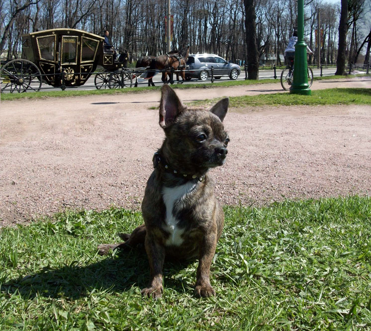 ������������� �������� �����