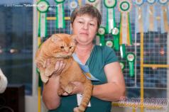 ���������� ���������������