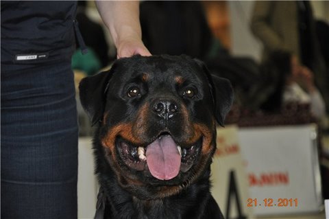 ���������. ��������