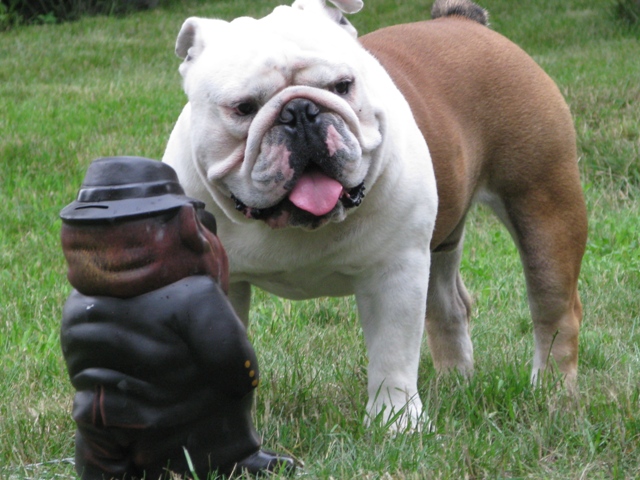 ���������� �������. ��������