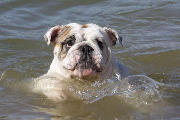 ���������� �������. ��������