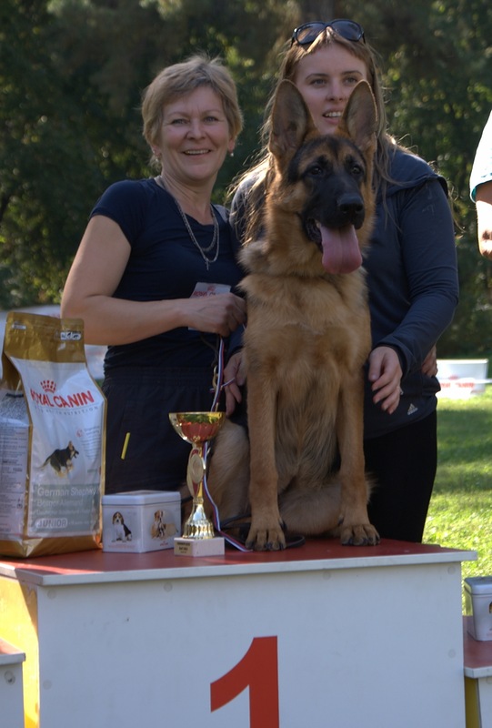 �������� �������. ��������