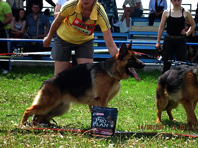 �������� ������� �� ��������� ����� Von Norden- Stern