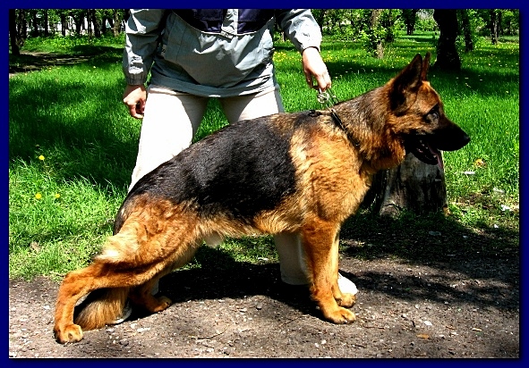 �������� ������� �� ��������� ����� Von Norden- Stern