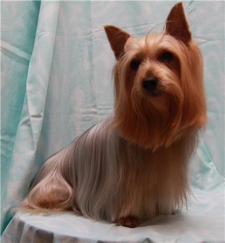 ������������� ����������� ������. ��������