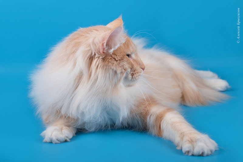 ���������� ������. ��������