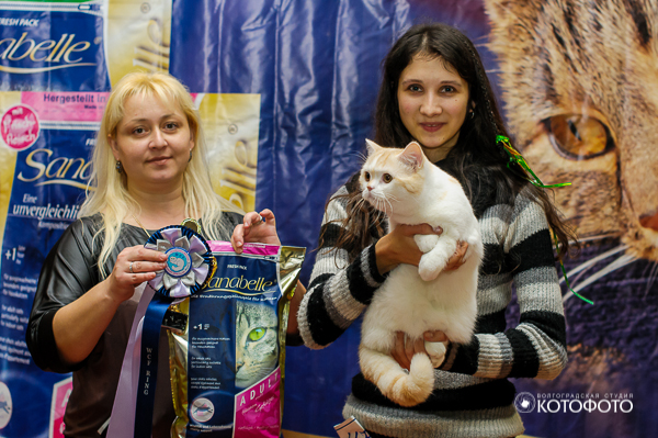 ����������� ��������������� ��������� (�������-������). ��������