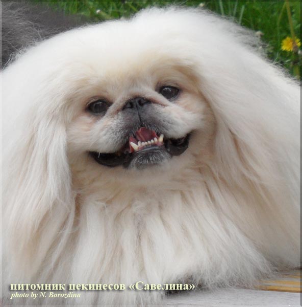 �������. ��������