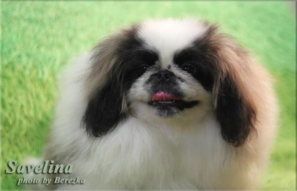 �������. ��������