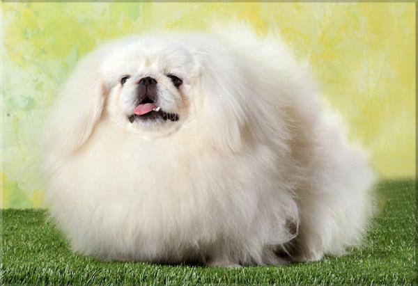 �������. ��������