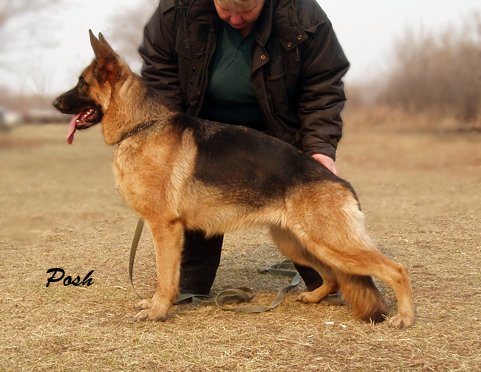 �������� ������� �� ��������� ����� ������ ����