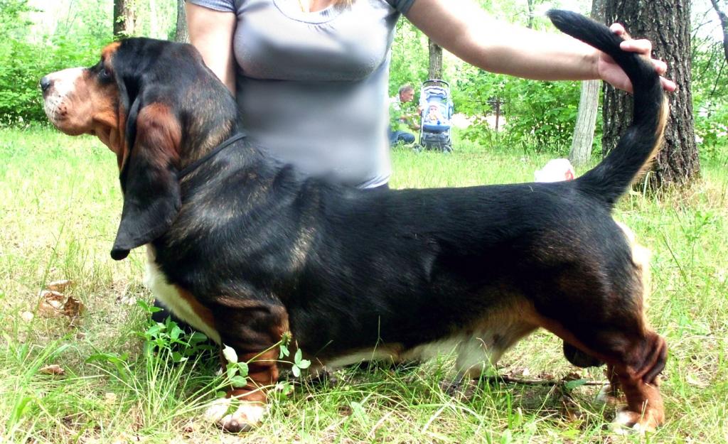 ������������� �������� �����