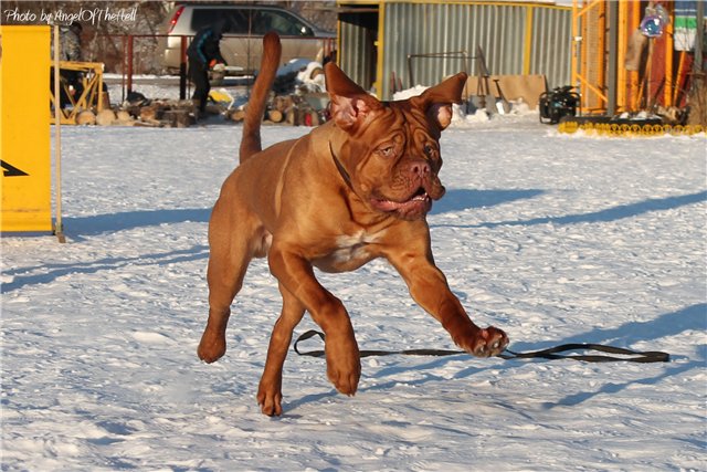 ������������� �������� �����