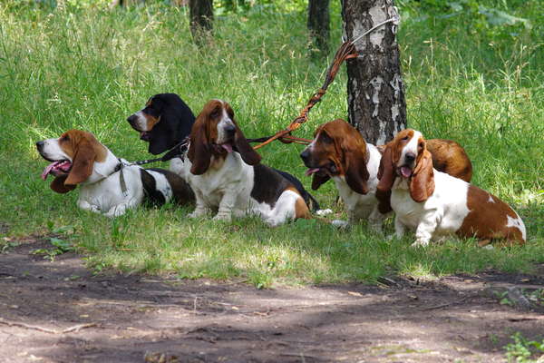 ������������� �������� �����