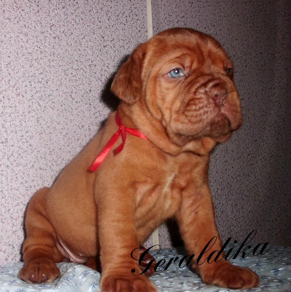 ������������� �������� �����